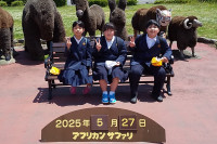 サファリ