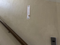 IMG_7567