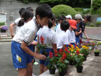 P1650847