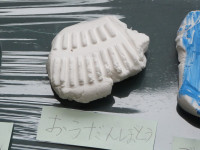 P1660077