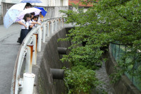 P1000093