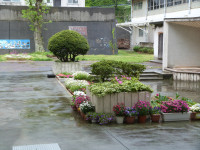 P1610750
