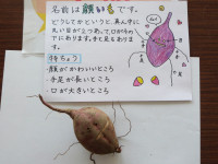 P1630452